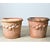Brown English Pair of Large 20th Century Terracotta Decorated Planters For Sale - Image 8 of 12