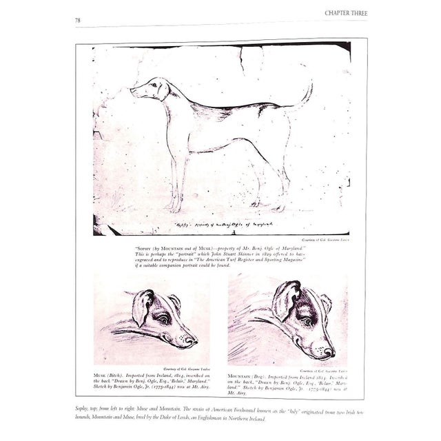 Paper "Never Outfoxed: The Hunting Life of Benjamin H. Hardaway Iii" 1997 Hardaway, Benjamin H. III [Mfh Midland Fox Hounds] For Sale - Image 7 of 17