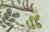 Bertuch, Rubber and Gum Arabic Trees, 1802, Engraving For Sale - Image 6 of 9