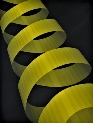 Roy Ahlgren, Ascension, 1978