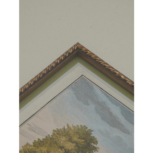 Gold Set of 4 Carl Remshant 18th Century Colored Etchings For Sale - Image 8 of 12