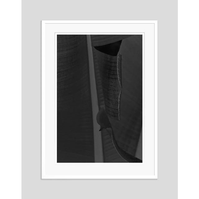 Modern Black Leaf by Stuart Möller Framed For Sale - Image 3 of 3