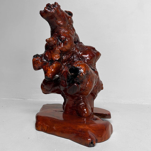 Japanese Rootwood Display Keyaki, 1970s For Sale - Image 11 of 18