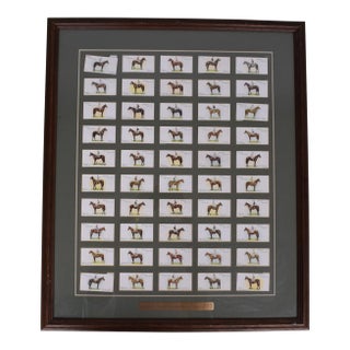 Set X 50 Jockeys 1930 Ogden's Cigarette Cards For Sale