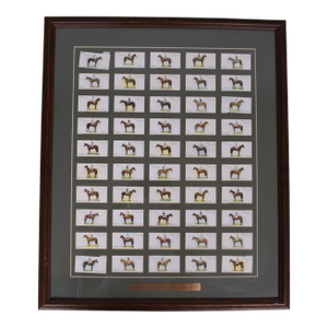 Set X 50 Jockeys 1930 Ogden's Cigarette Cards