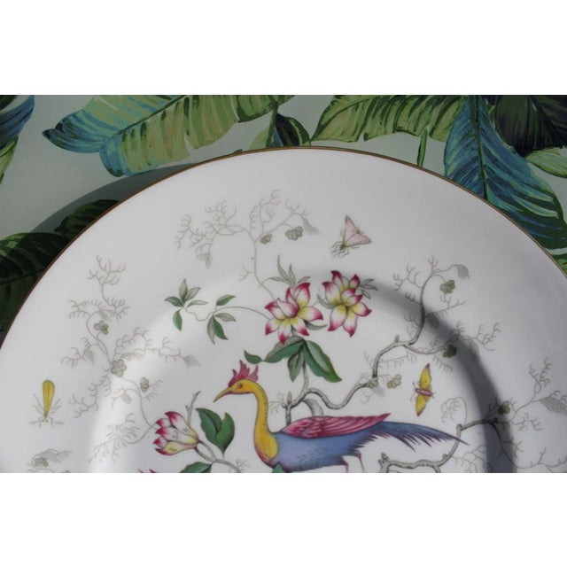 Set of 5 Coalport Bone China Dinner Plates in the Paradise Pattern For Sale - Image 10 of 13