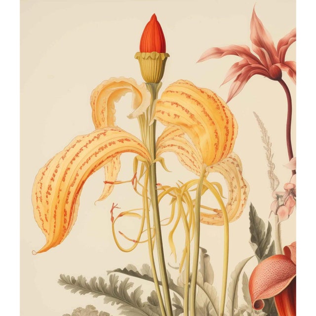 Wood Set of 4 - 20' X 13.9' Framed Botanical Prints 'Hortus Floridus' Style Flowers #7 For Sale - Image 7 of 9