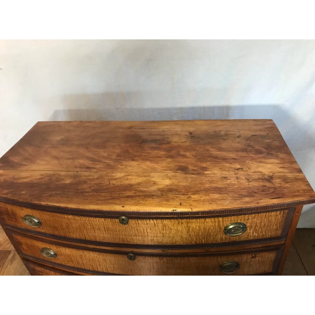 Late 18th Century Hepplewhite Period Bow Front Chest of Drawers For Sale - Image 9 of 11