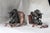 Elephant Bookends, 1930s, Set of 2 For Sale - Image 14 of 18