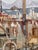 Wood Robert McClay “Bay View #1” Original Artwork, Framed For Sale - Image 7 of 12