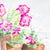 1990s Potted Wild Roses - Tomoko Parry, C. 1990s For Sale - Image 5 of 10