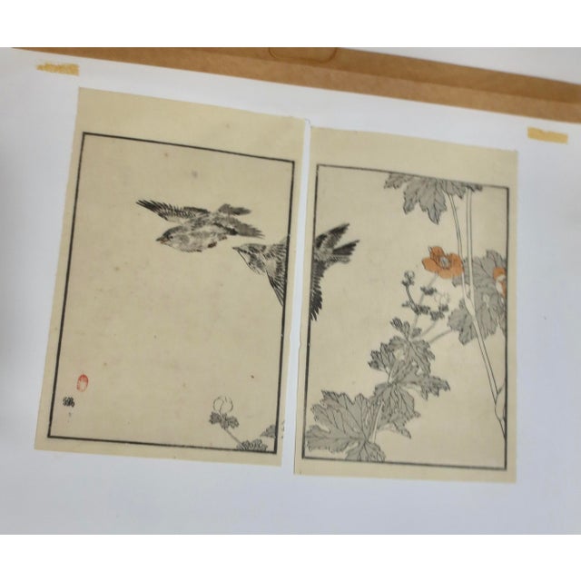 Japanese Watanabe Seitei Block Print of Sparrows in Flight Continious Image Print Circa 1890-1900 For Sale - Image 3 of 7