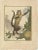 After Buffon, Capuchin Monkeys, Paper, Set of 3 For Sale - Image 4 of 6