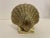 Pair Brass Seashell Scallop Bookends For Sale In New York - Image 6 of 7
