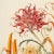 2020s 13" X 9" 'Garden Flowers' Botanical Print, 'Hortus Floridus' Style, Unframed For Sale - Image 5 of 7