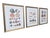 Vintage Coastal Seashell Clamshell Framed Prints- Set of 3 For Sale In Charlotte - Image 6 of 11
