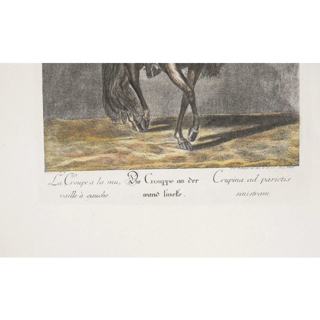 English Mid 20th Century Equestrian Dressage Prints After Johann Elias Ridinger - a Pair For Sale - Image 3 of 8