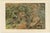 P. J. Smit, Water Monitors Robbing a Nest, 1895, Color Lithograph For Sale - Image 3 of 9