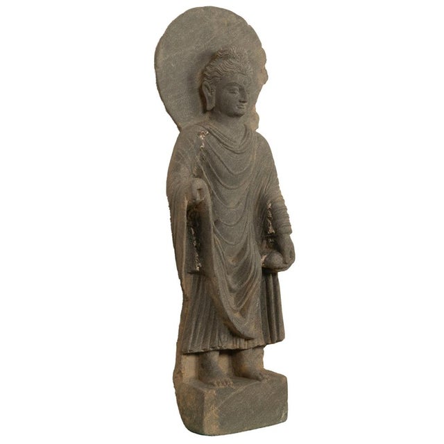 Ancient Indian Carved Stone Gandharan Shakyamuni Buddha Statue 2nd Century A.D. For Sale - Image 9 of 16