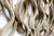 Wood Large Vine Square Grouping - Wall Art Set of 4 For Sale - Image 7 of 9