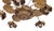 Gold Water Lily Chandelier from Maison Jansen, 1970s For Sale - Image 8 of 12