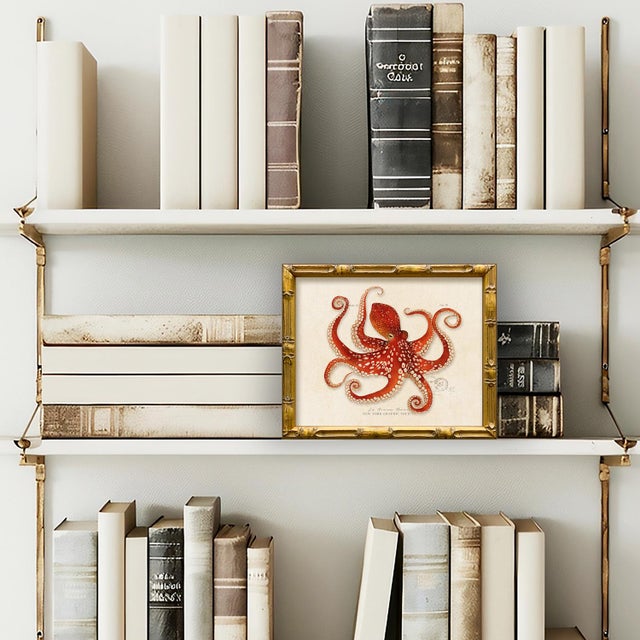 This is our red octopus print from our vintage "Les Animaux Marins" series. Please note there are 6 images in this series,...