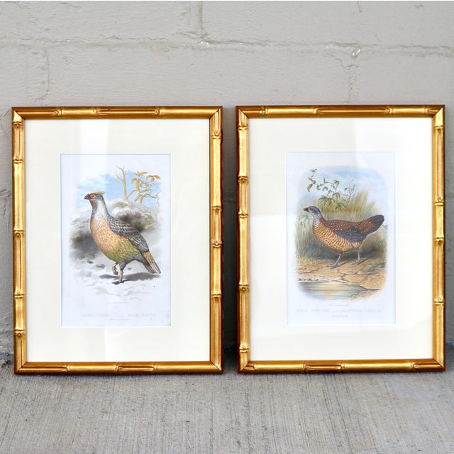 Elevate your space with this stunning, professionally curated pair of original 19th-century Victorian bird prints....
