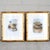 Elevate your space with this stunning, professionally curated pair of original 19th-century Victorian bird prints....