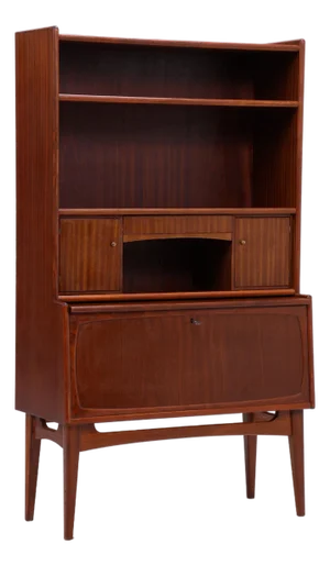 Vintage Mahogany Bookcase from Treman Furniture Factory, 1960s