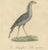 Karl Joseph Brodtmann, Birds of Prey, 1816, Lithograph For Sale - Image 4 of 9