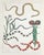 Colorful Southwest Snakes and Botanical Giclée For Sale