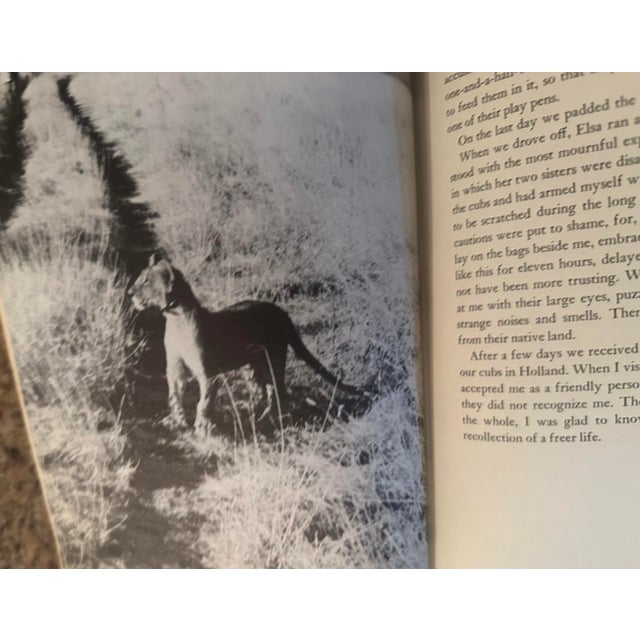 Mid 20th Century Vintage Born Free Gray Book For Sale - Image 5 of 5
