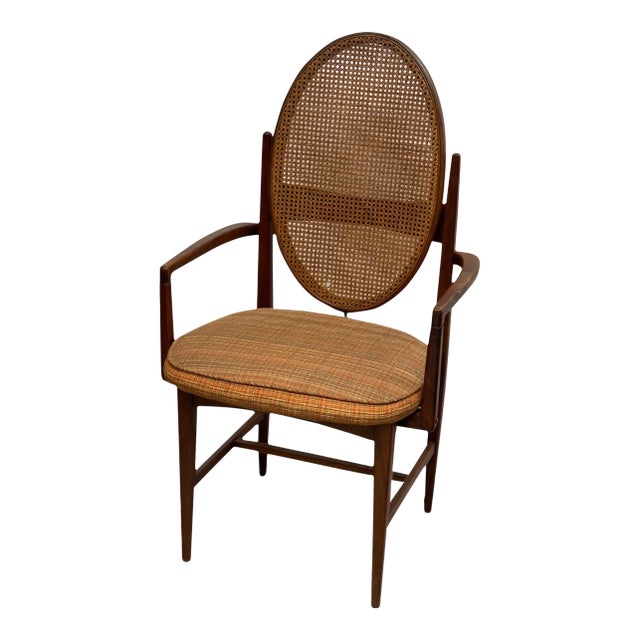 1970s Vintage Mid-Century Modern Arm Chair For Sale