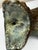 Early 20th Century French Early 20th Century Bronze Crocodile Fountain Head Garden Outdoor Sculpture After Antoine-Louis Barye For Sale - Image 5 of 18