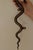 Egyptian Revival Engraved Brass Enameled Cobra Sconces, Set of 2 For Sale - Image 11 of 13