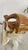 Vintage Large Carved Onyx Elephant Sculpture For Sale - Image 9 of 18
