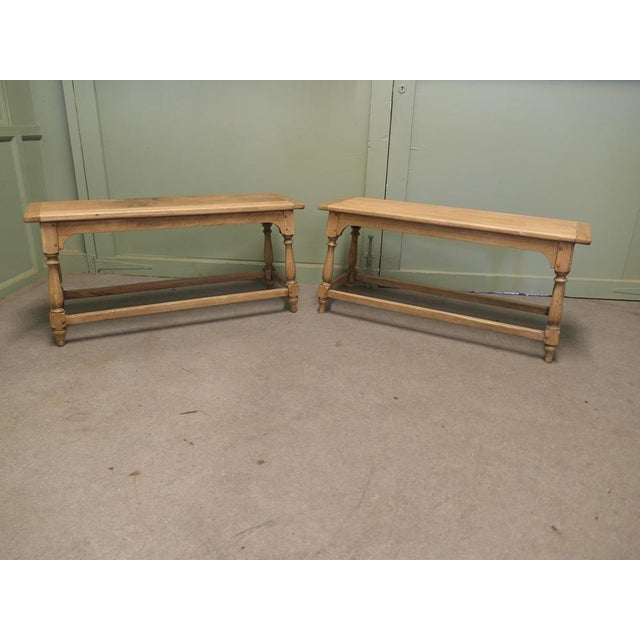 Antique Bleached Oak Benches, 1910, Set of 2 For Sale - Image 3 of 8