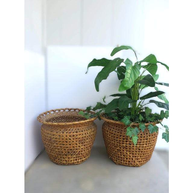 Tan Wicker Basket Plant Cachepot For Sale - Image 8 of 12