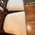 Set of 8 Theodore Alexander Lady Emily’s Invitation Dining Chairs For Sale - Image 9 of 13