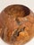 Brown Sculptural Burl Wood Vessel Bowl For Sale - Image 8 of 12