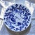 19th Century French Ironstone Plates with Vegetable Garden Decoration, 1930s, Set of 6 For Sale - Image 12 of 14