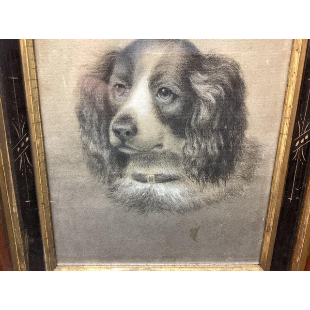 Victorian Original Charcoal Drawing of King Charles Spaniel Dog Portrait. Overall size is 12 inches wide by 14 1/2 inches...