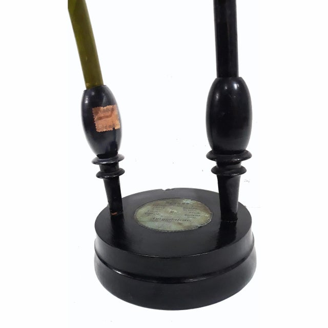 Robert Brendel's Botanical Model, 19th Century For Sale - Image 10 of 12