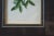 Pair of 19th Century Floral Colored Lithographs Botanical Register Framed 29" For Sale - Image 4 of 12