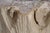 Freestanding Petrified Wood Water Basin by Xyleia Petrified Wood For Sale - Image 6 of 8
