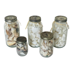5 Large Vintage Jars With Sea Shells for Coastal Decor