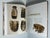 2020s Illustrated Quarto, Janice Walters Boyce's Every Pomo Cradle Her Way, Signed - 1 Book For Sale - Image 10 of 18