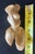 1960s Mid-Century Modern Biomorphic Solid Bronze Female Torso Sculpture For Sale - Image 5 of 9