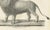 Majestic Barbary Lion Standing in Profile, 1836, Lithograph For Sale - Image 3 of 11