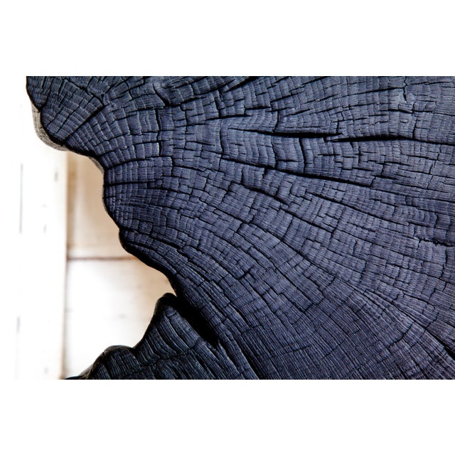 Wood Contemporary Indra Collection Yakisugi Modern Organic Wood Sculpture - Set of 2 For Sale - Image 7 of 10